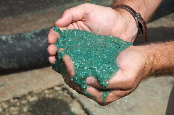 Фото: seloveselo.ru/wp-content/uploads/2018/08/1864843.jpg