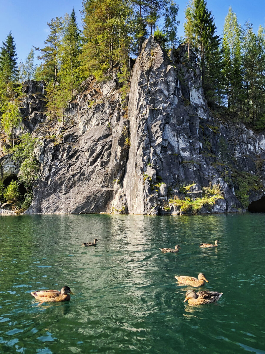Источник Unsplash