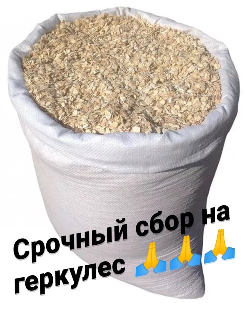 SOS!!! Дорогие друзья  и помощники нашего приюта , нам нужна Ваша помощь!!! Впереди праздники , нам очень нужен геркулес без него накормить невозможно ... Сейчас мешок 50 кг стоит уже 1150 рублей, скорее всего после праздников  он подорожает на 50-100 рублей за мешок .  Мы просим ВАШЕЙ помощи 🙏♥️💕Реквизиты для помощи :Внимание новая карта  сбербанка 5469380093233996  на имя Валерии Дмитриевны Ц ( моб банк  89775923630)  ЯК-410018617087444
Киви кошелек +79775923630. PayPal- lera-zar-mos@yandex.ru .  Вся информация о нашем приюте и новости  в instagram  https://instagram.com/vozrozhdenie03?igshid=gtzbwuew4be4   