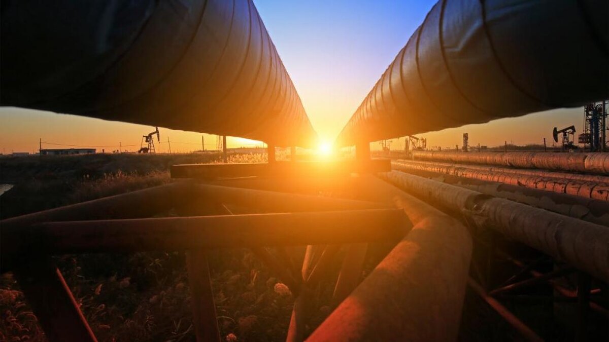 Фото: Shutterstock