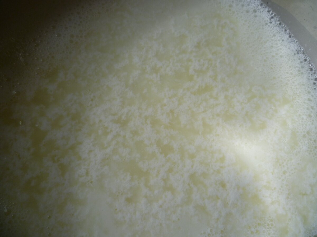 Как сделать творог из молока