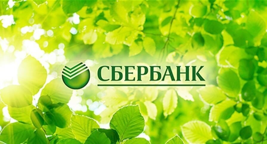 Фото из открытых источников Яндекс