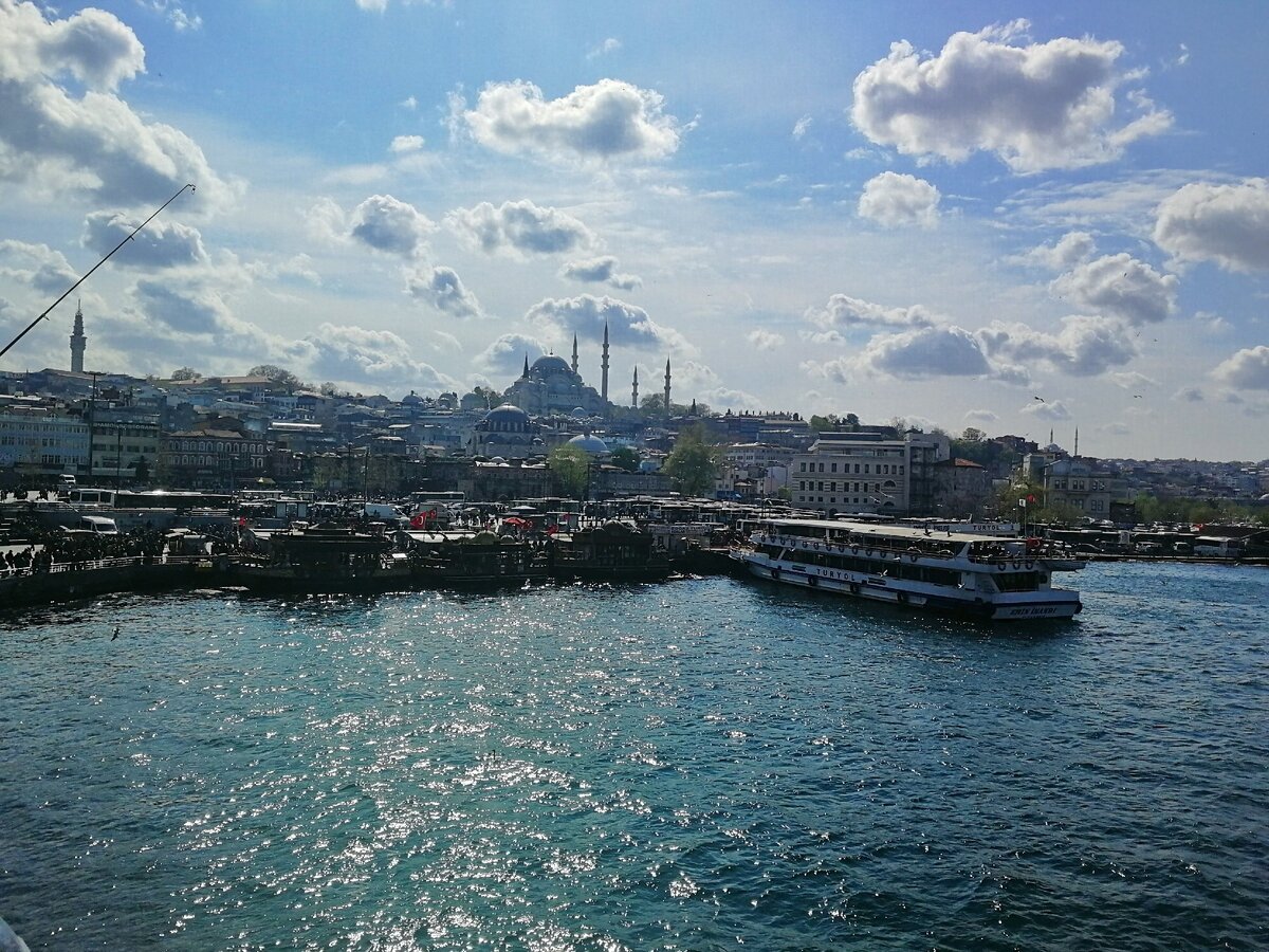 Ну разве не красавец?