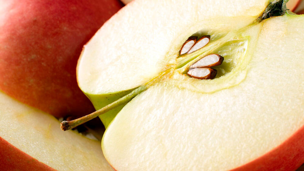 Семена яблока. Зёрнышко яблока. Какие семена у яблока. Цианид в яблочных косточках. Какие семена у яблока.