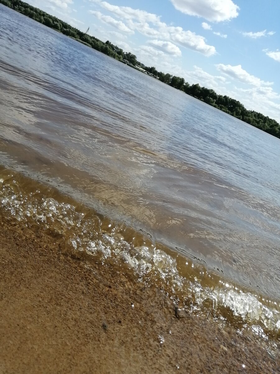 Гармония