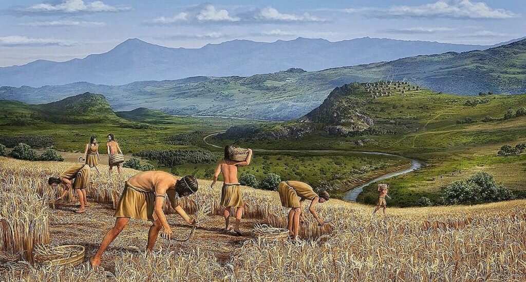 Во время правления мусульман, на полуострове активно развивалось сельское хозяйство — spainru.com