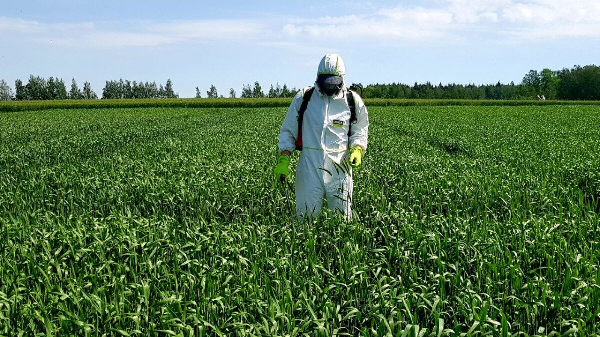 Первые пестициды. Пестициды и гербициды. ФГИС Сатурн пестициды. Химикаты в сельском хозяйстве. Пестициды инсектициды гербициды.