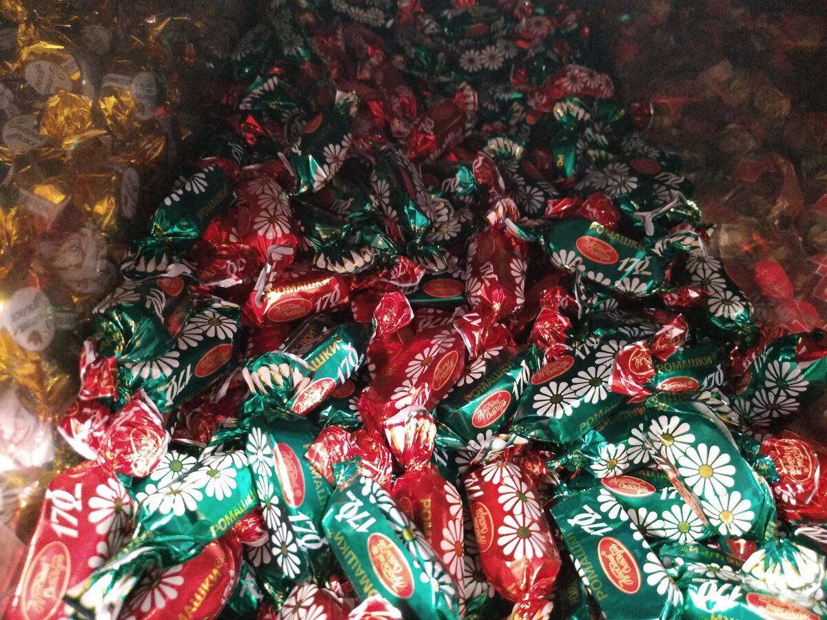 Ромашки, наши дни