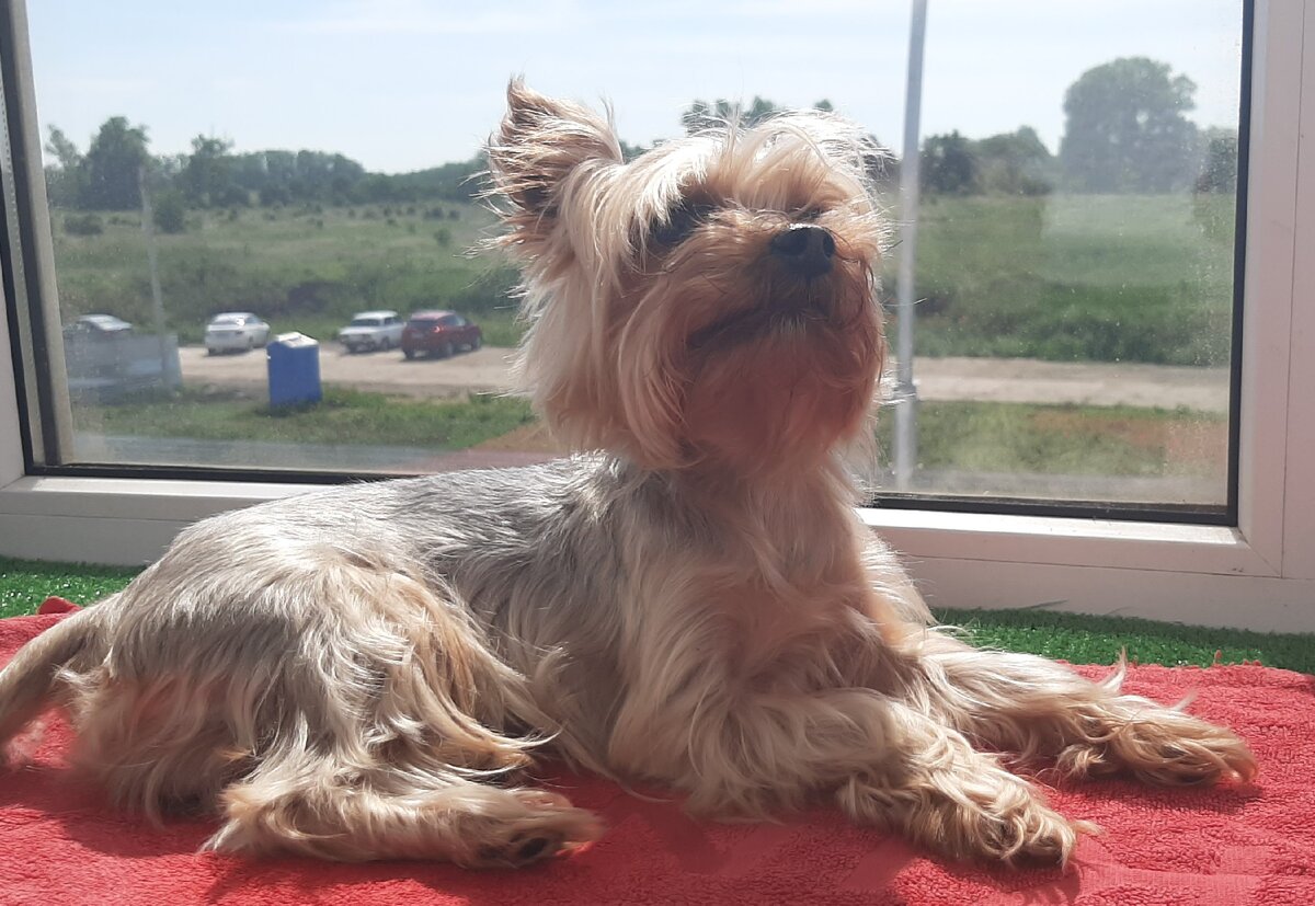 Солнечные ванны