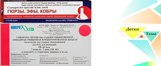 Противозмеиная сыворотка может помочь, если рядом нет больниц. Но внимательно ознакомьтесь с инструкцией, способом ввода противоядия и противопоказаниями!