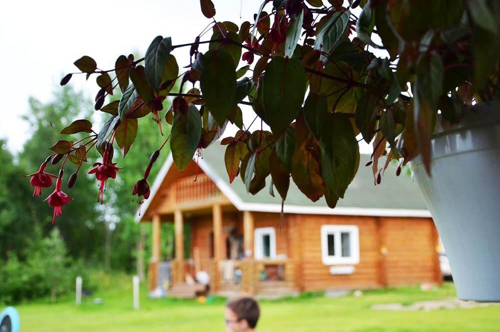 Экотуризм на родине: Национальный природный парк «Русский север ...