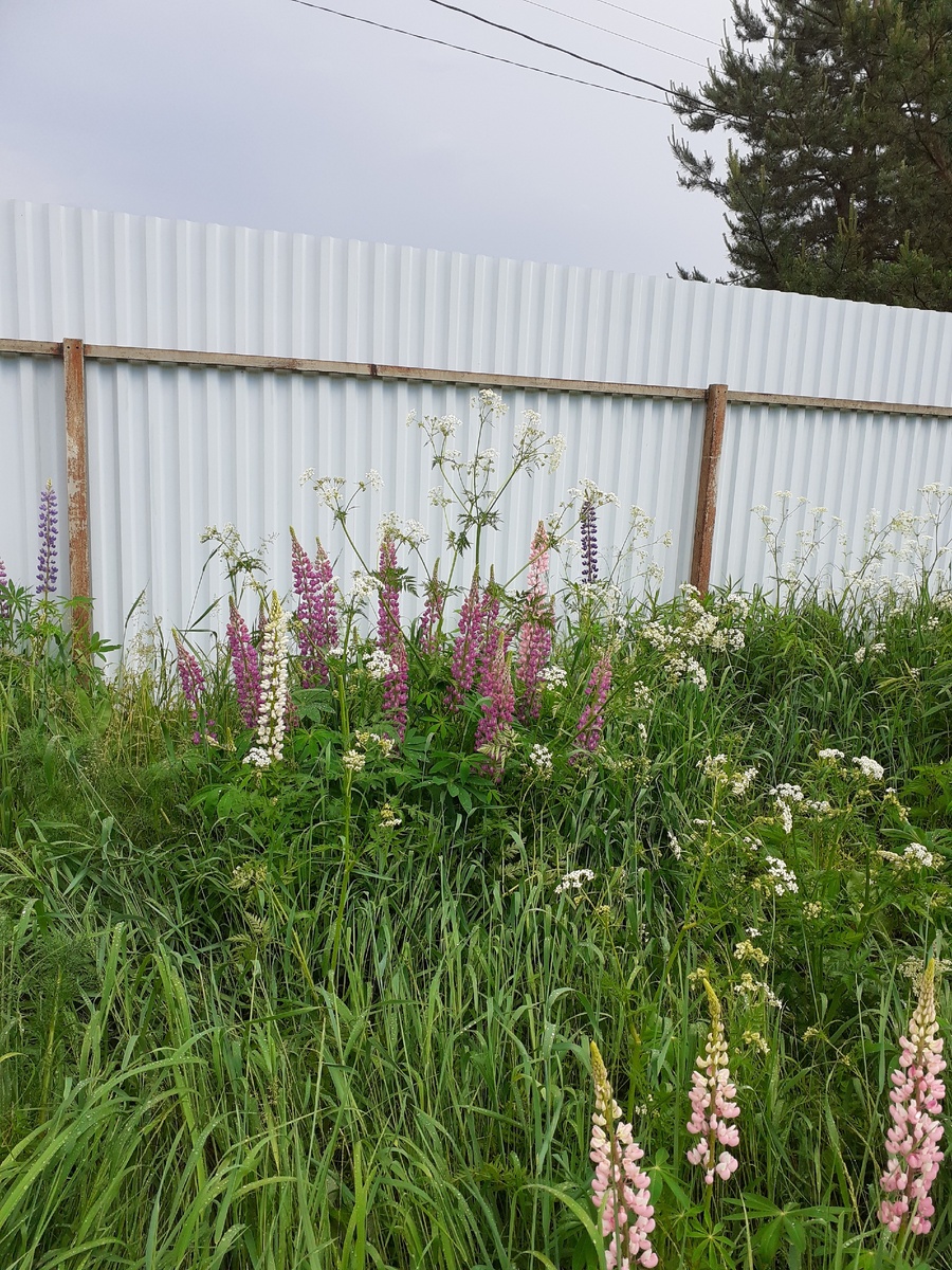 Всем хорошего настроения!)