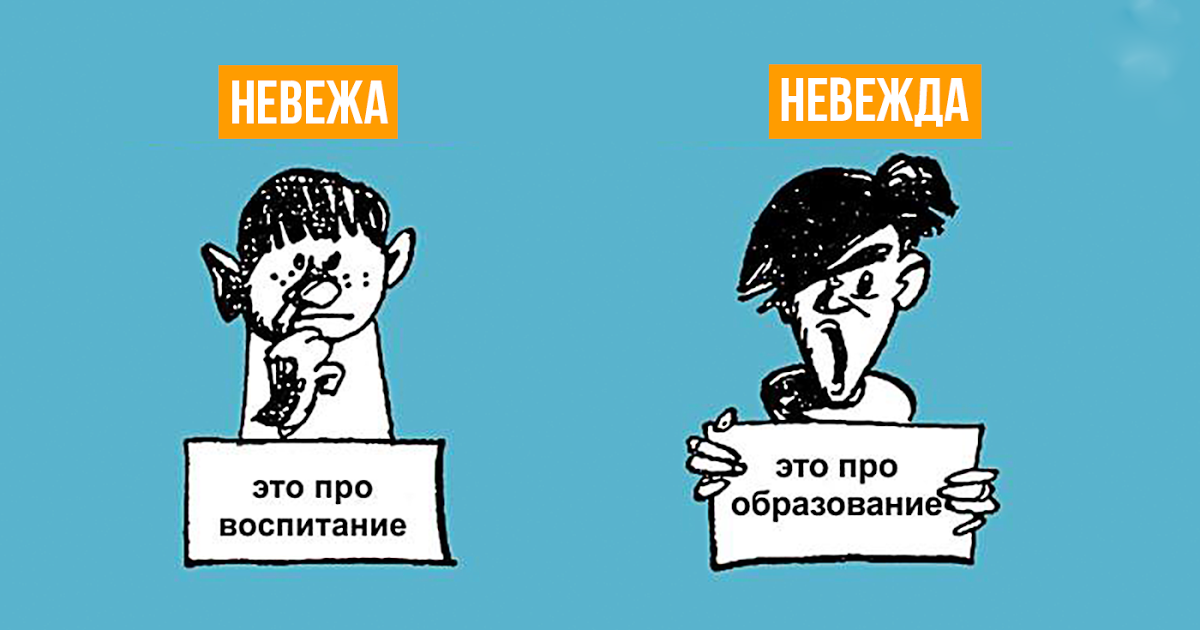 Невежа что это. Невежа и невежда. Невежа невежда паронимы. Невежа пароним.