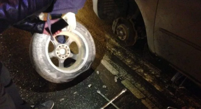 Фото: shipovnik.ua