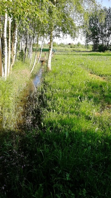 Вот как канавы работают у меня