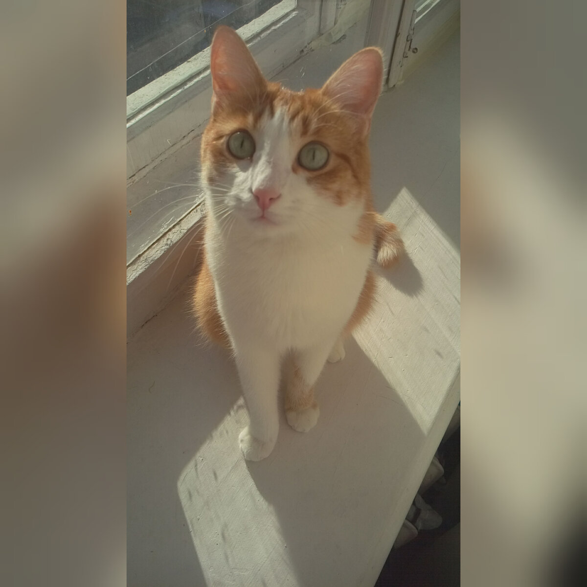 Положи мне вкусняхи... 