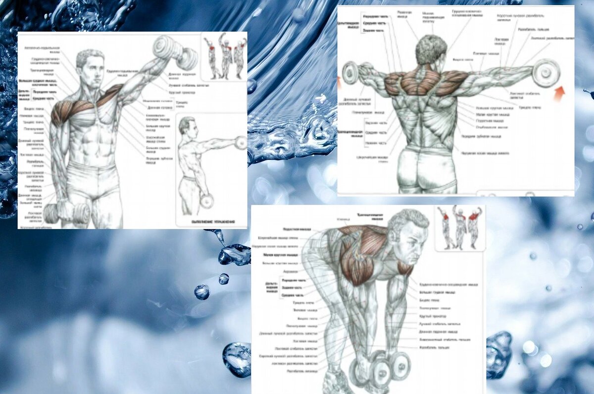 Махи стоя(отведения, подъёмы) , махи перед собой, махи через стороны в наклоне.Схемы из книги Ф. Дэлавье "Анатомия силовых упражнений"