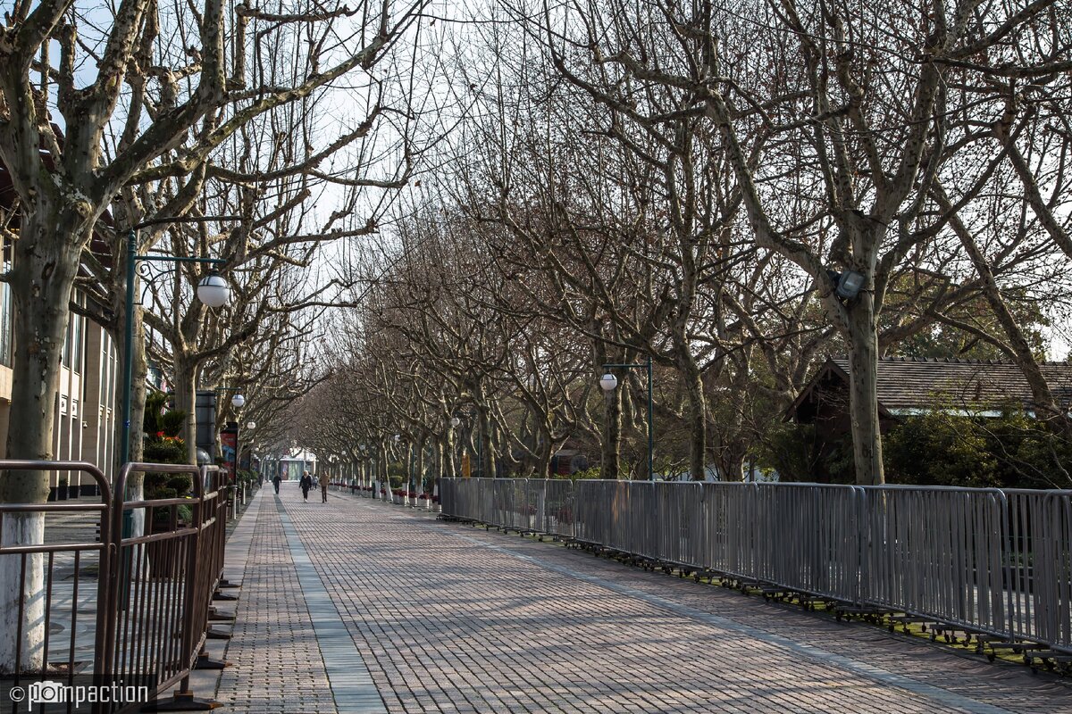 Пустая аллея