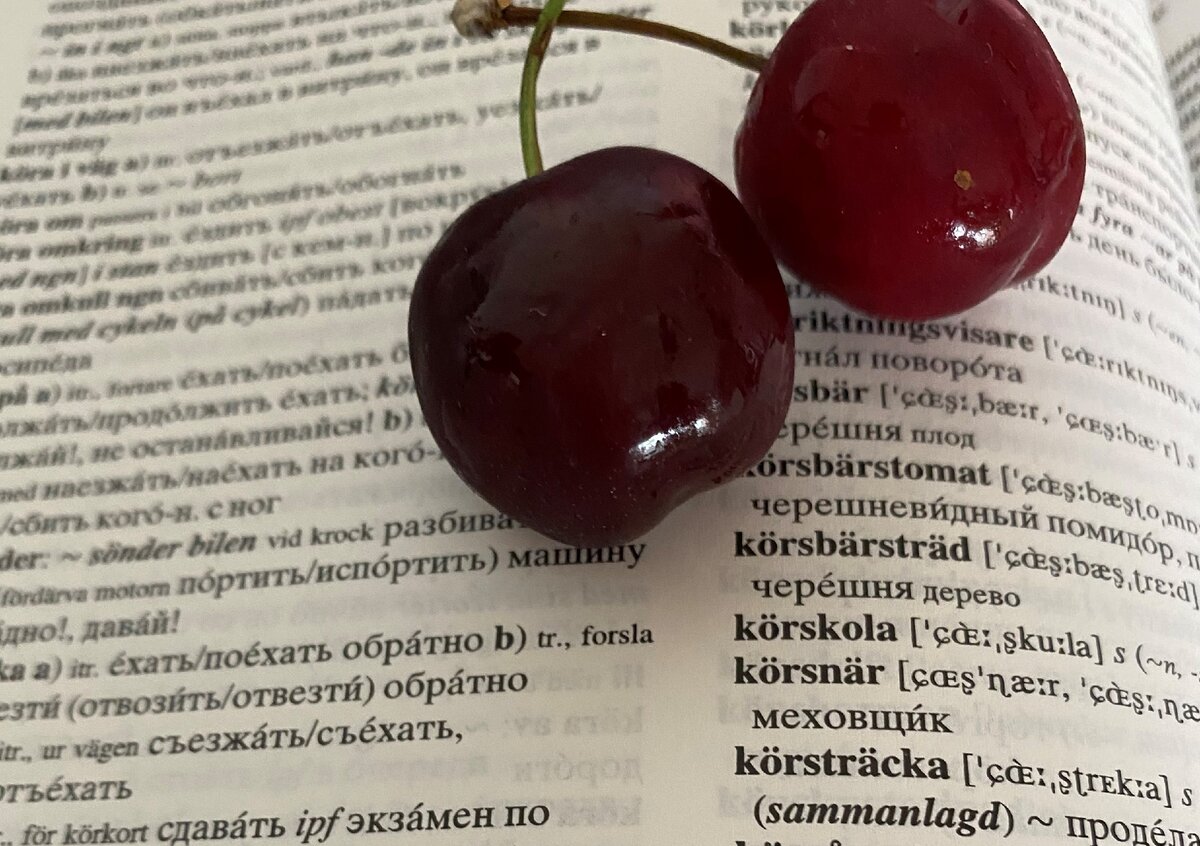Фото автора. Позировали Norstedts rysk-svensk/svensk-rysk ordbok и итальянская черешня