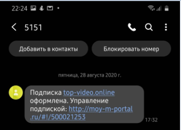 Скрин переписка. авторское фото