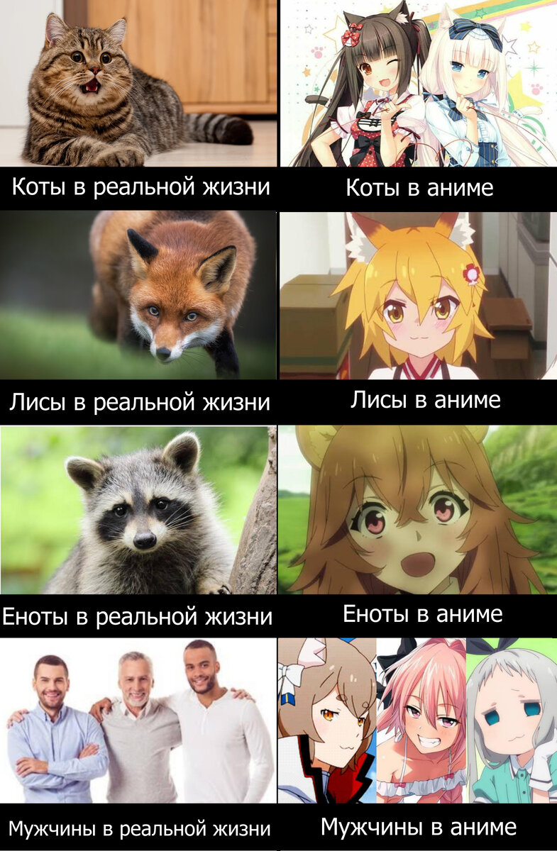 А я и не против!