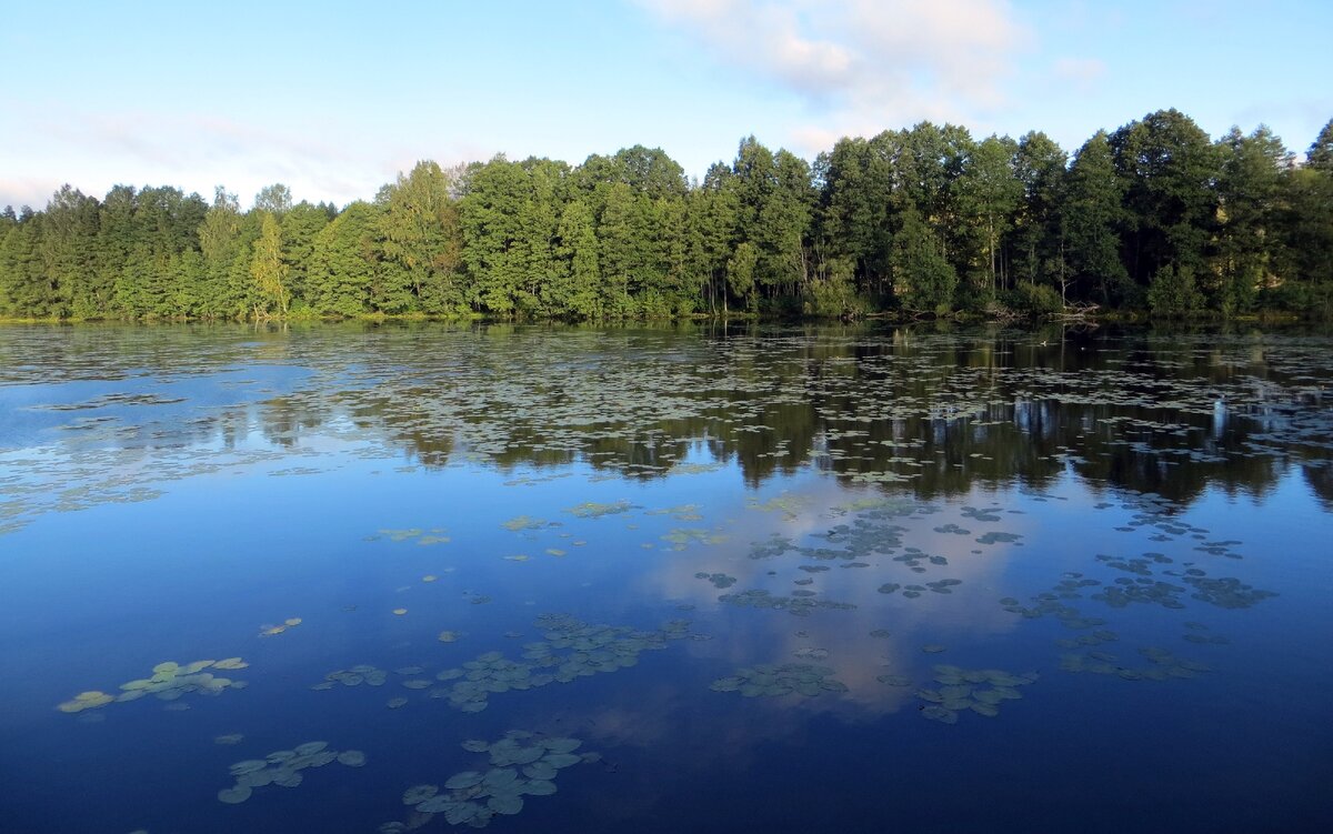 Вид с острова на берег озера