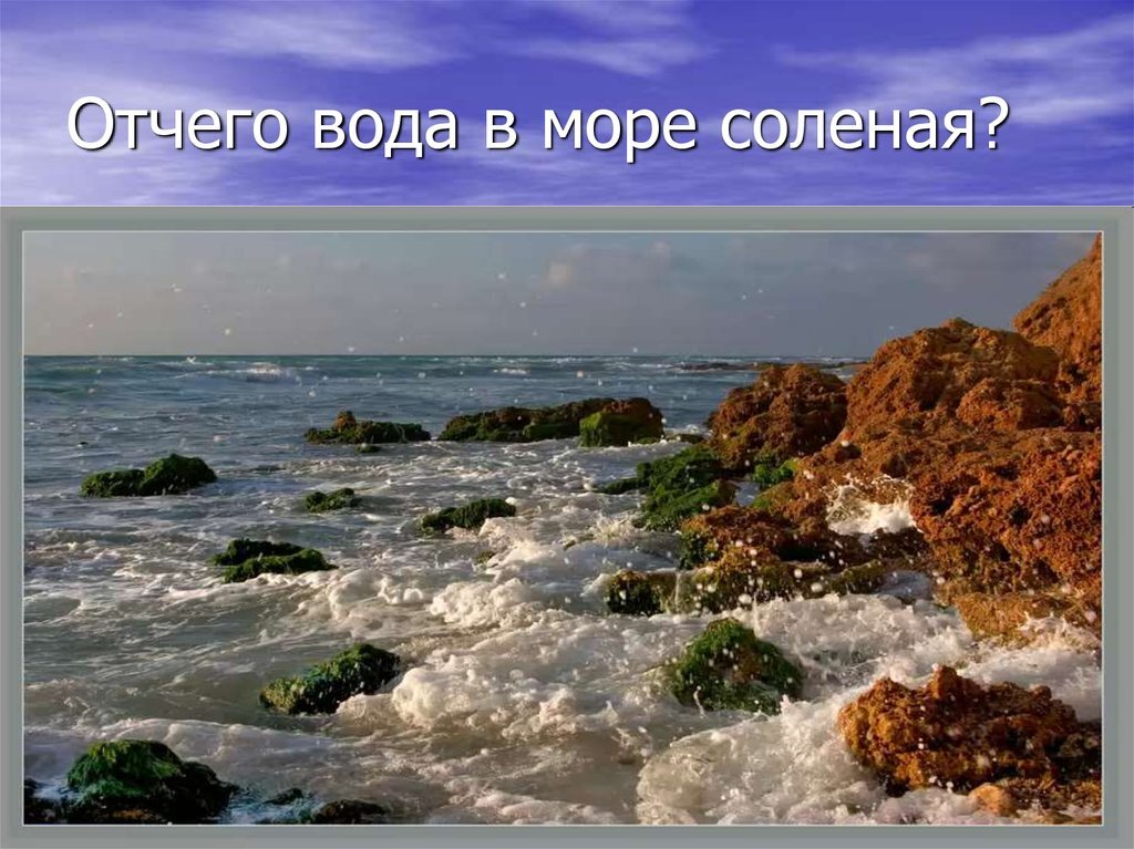 Почему морская вода соленая проект 1 класс