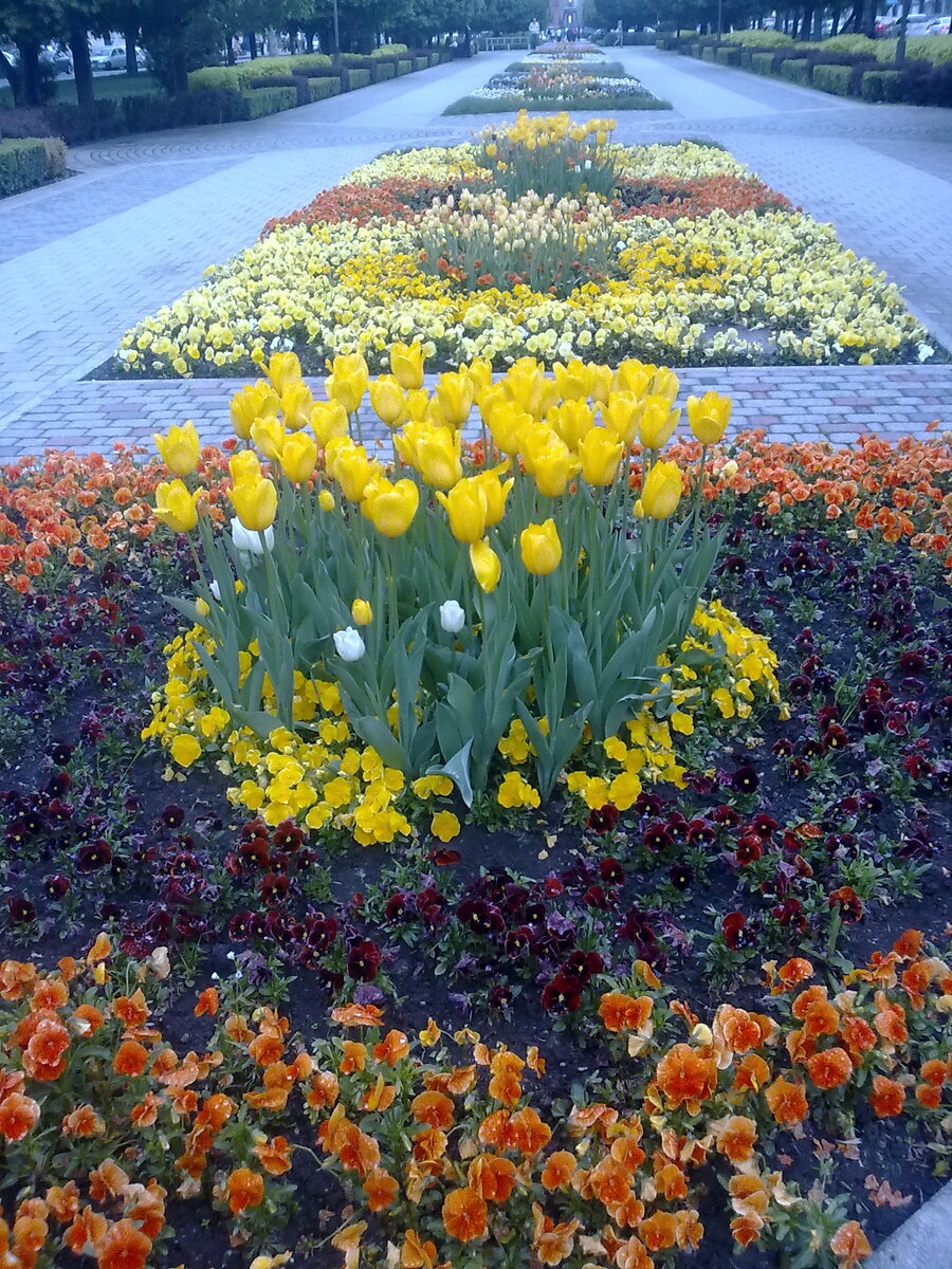 Бульвар на Красной улице. В прежние годы так там было почти круглогодично. Цветы и зелень. Фото автора 
