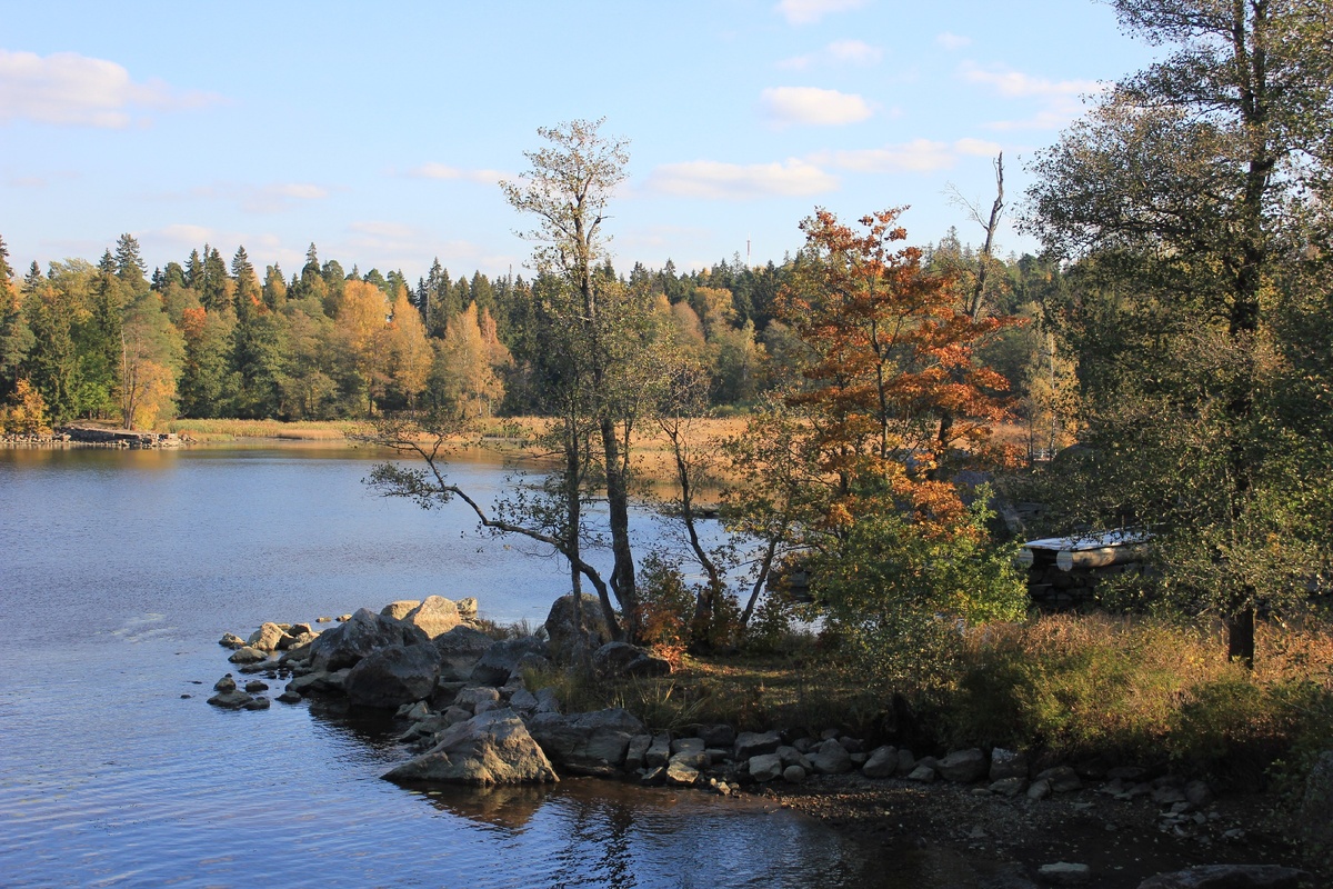 фото из личного архива