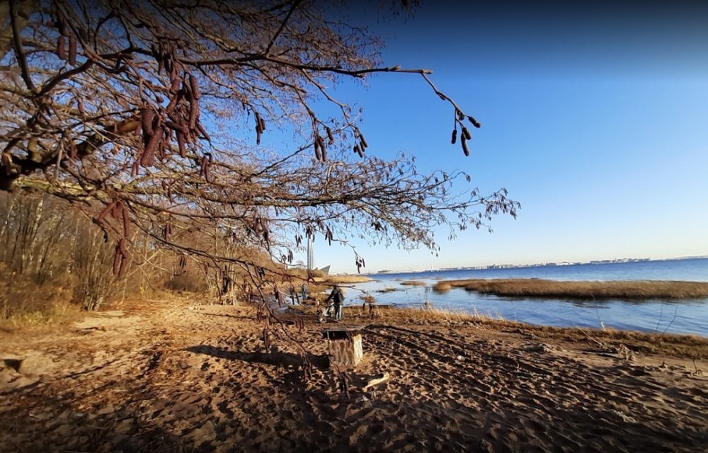 Конная Лахта. Фото google