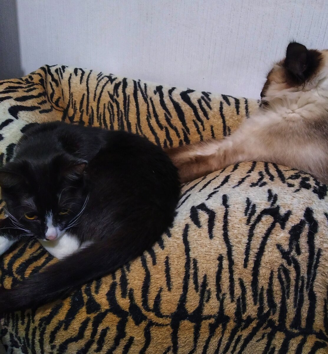 Ириска и Афина