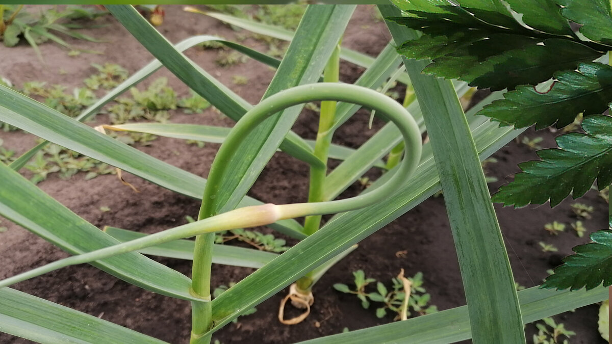 Не забывайте подписываться на канал, чтобы не пропустить новые статьи