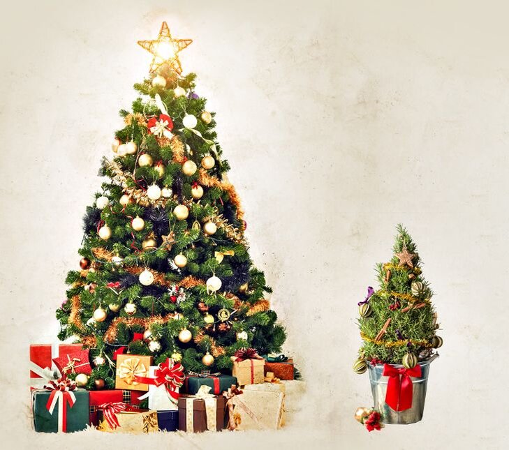 Красивая новогодняя елка. Зима новый год. Новогодняя природа. Новогодняя елка фото. Наряжаем елку.