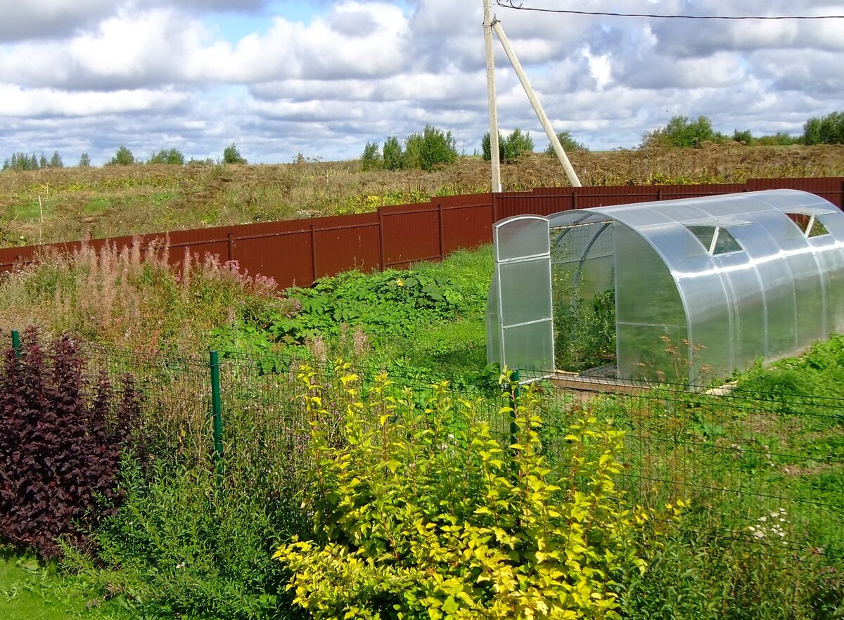 Теплица, неоднократно попадающая под "бомбардировку"