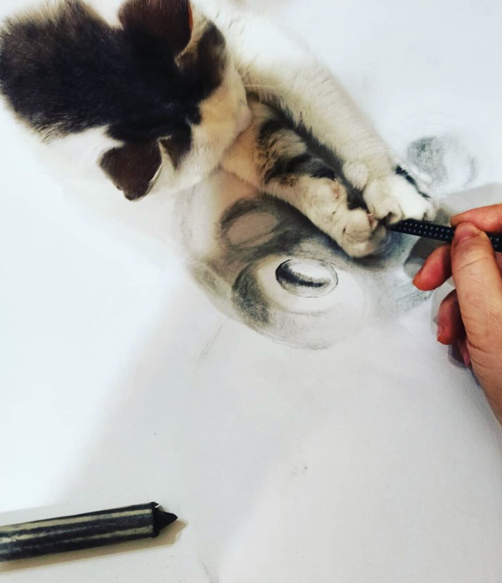 Моя кошка Муся