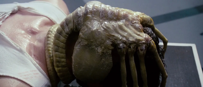 Лицехват на человеке