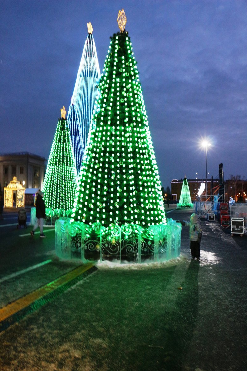 елочный базар шишкин лес. оформление елочного базара. где продают елки в самаре. елка на площади куйбышева в самаре 2020. елочные базары в самаре.