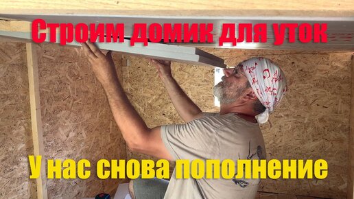 #5 Строим домик для утят, и у нас снова пополнение!