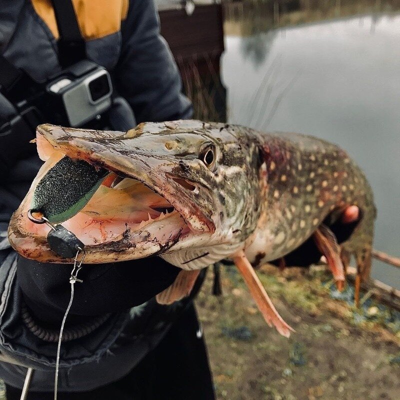 Фото https://www.instagram.com/p/CJT6FOoLxBz/