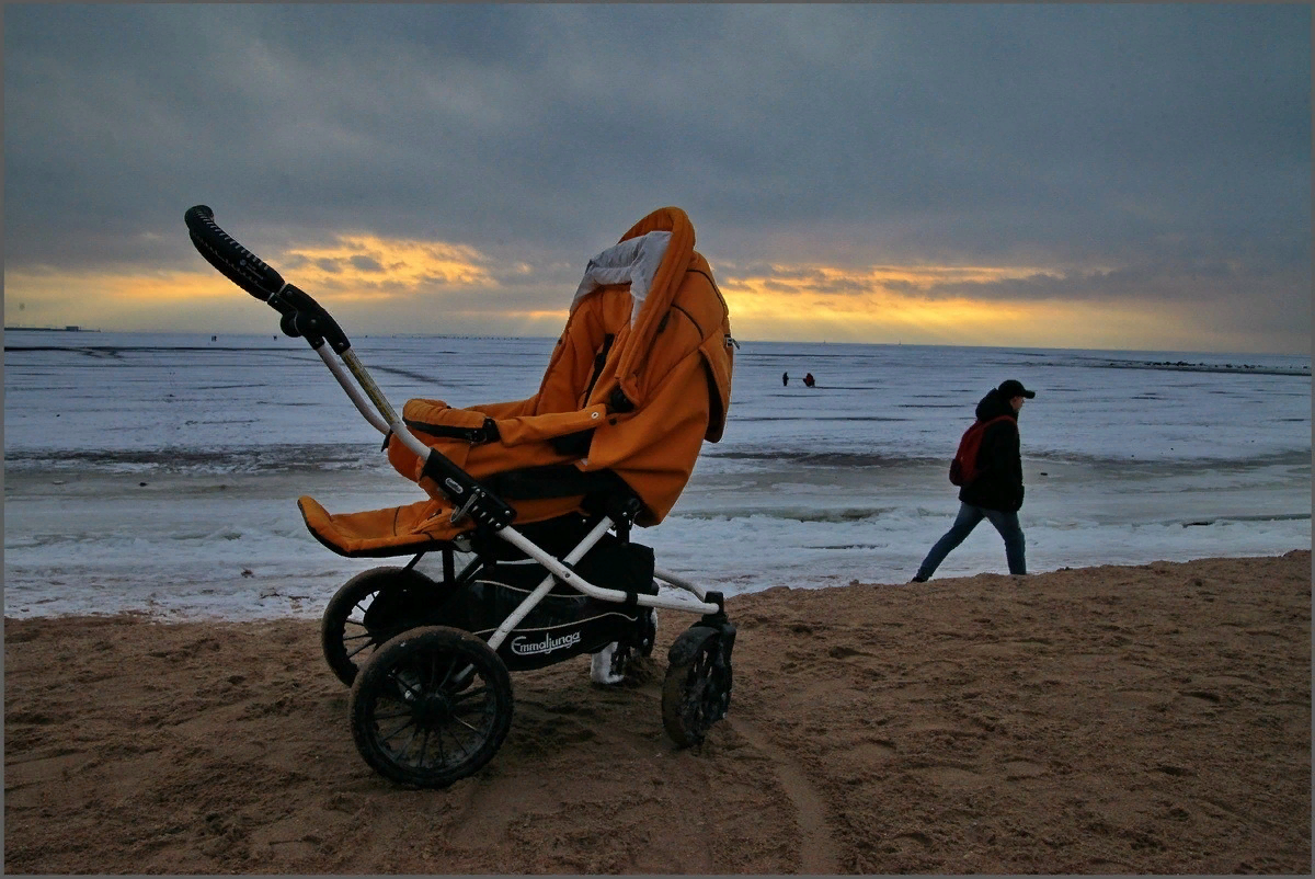 фото: ЛенТВ24