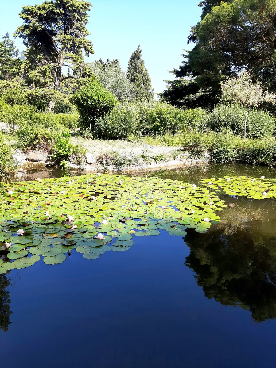 Райский уголок