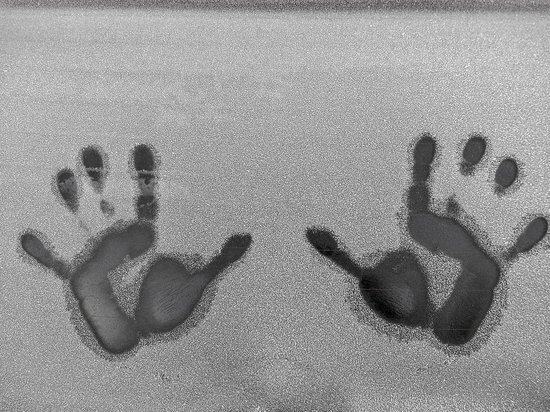 Фото - pixabay.com