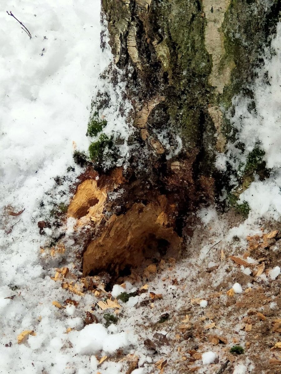 Две дырки, следующее фото будет поближе