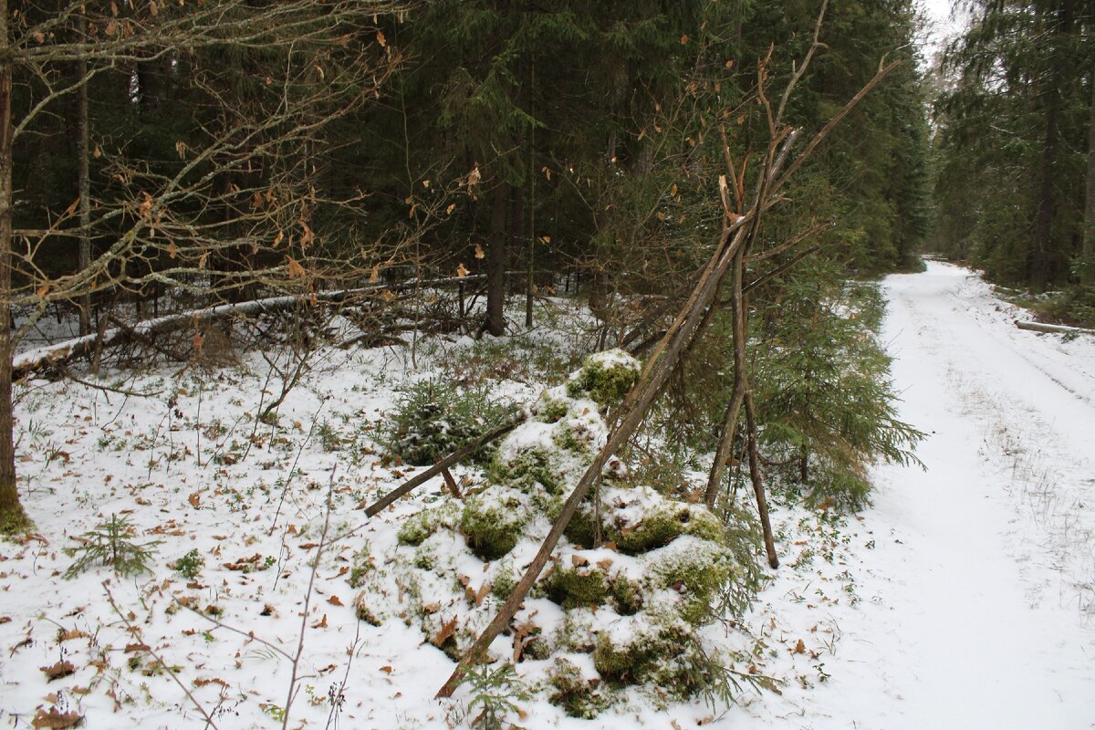 Личный архив