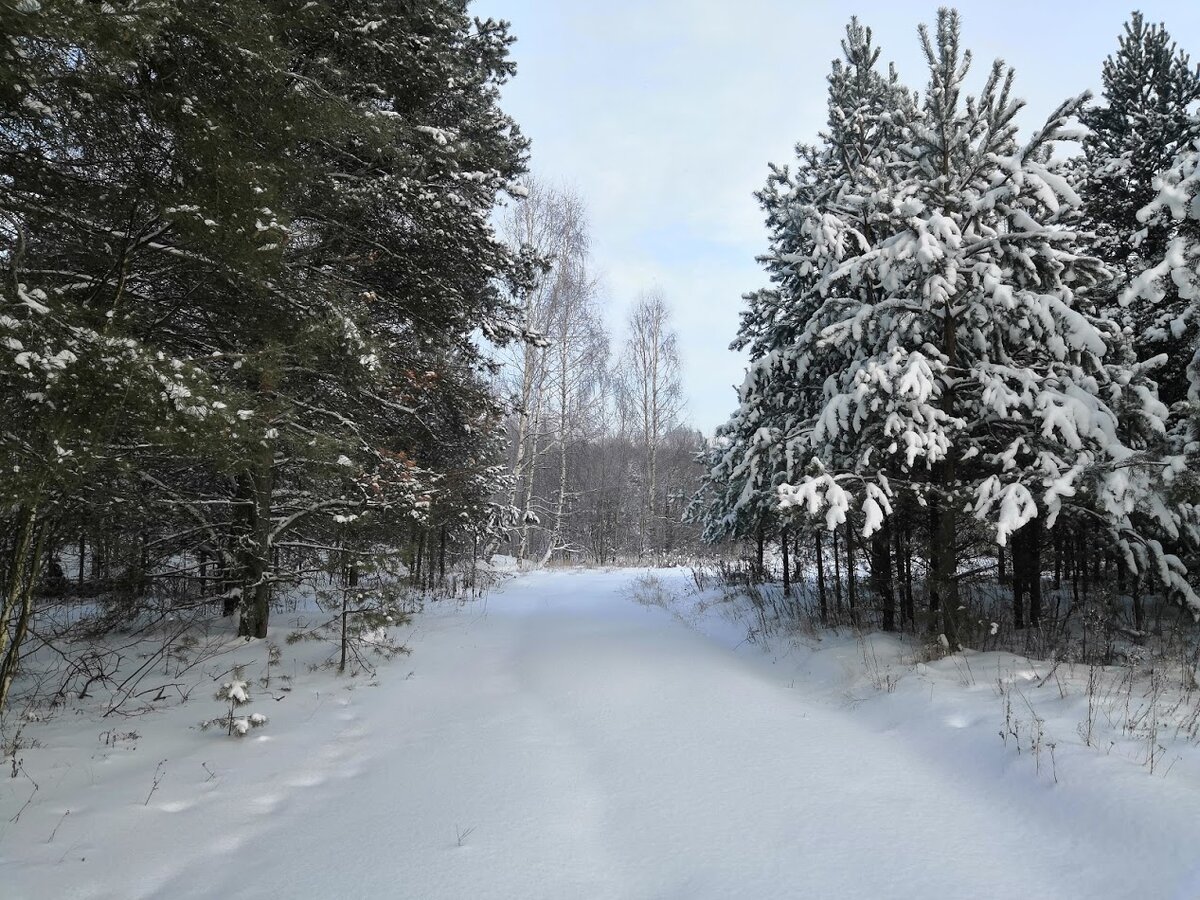 Картинка для красоты :)