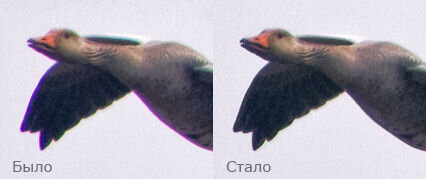 Источник: takefoto.ru