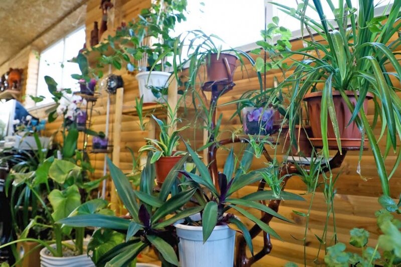 © Фото ИД «Волгоградская правда» / архив.