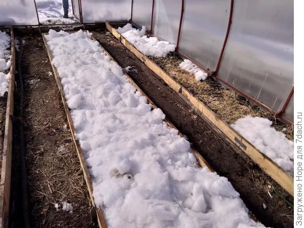 Взято из Яндекс. Картинки