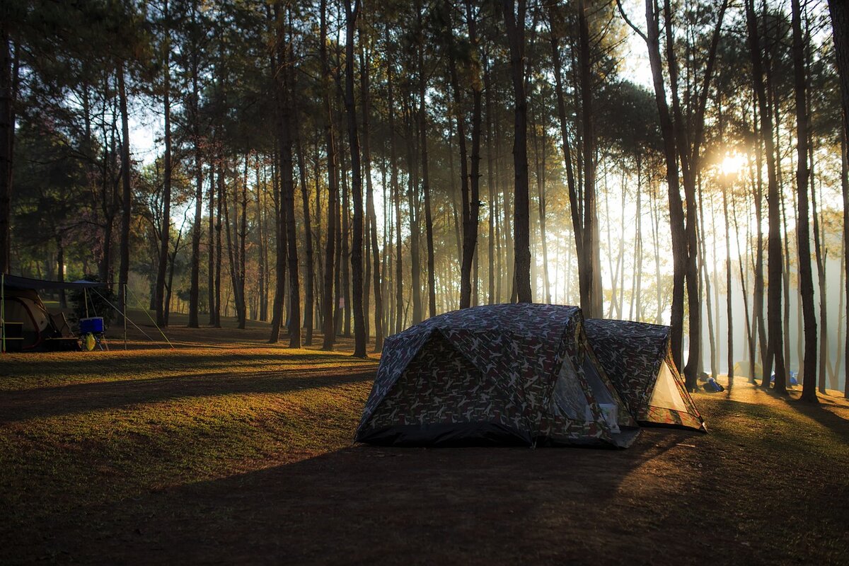 Шатер Camp Forest