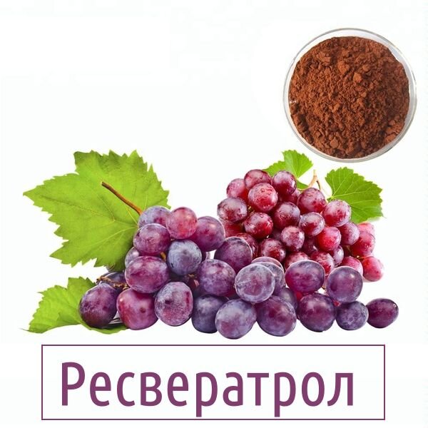 Источник: yandex.ru